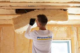 Best Eco-Friendly or Green Insulation Solutions  in Lake Monticello, VA