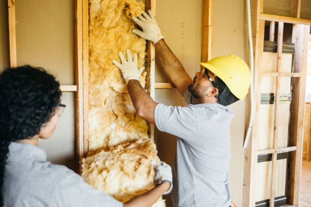 Types of Insulation We Offer in Lake Monticello, VA