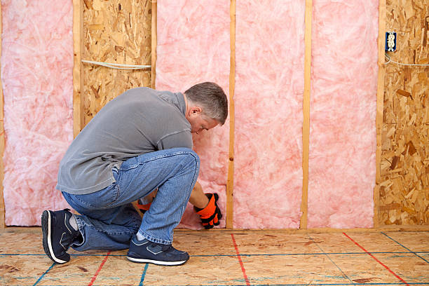 Best Radiant Barrier Insulation  in Lake Monticello, VA